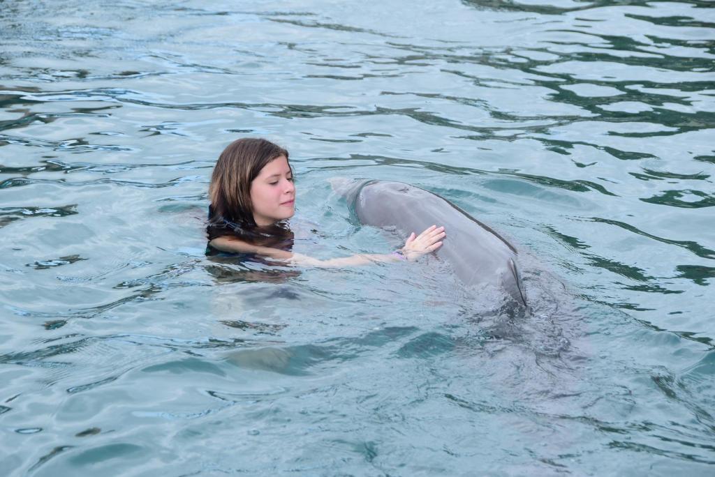 Another great shot of Arianna with dolphins